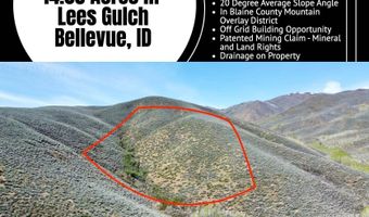 Tbd Lees Gulch Rd, Bellevue, ID 83313