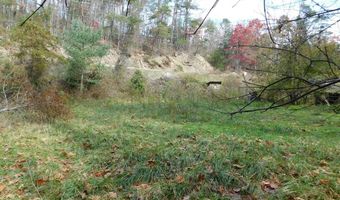 290 Angels Pass Dr Lot 1, Bastian, VA 24314