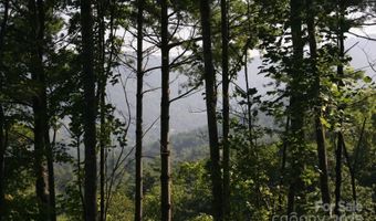 68 Wolfebridge Ln 16, Asheville, NC 28804
