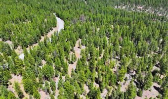 7783 California Pines Blvd, Alturas, CA 96101