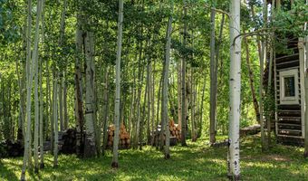 76 Barber Lake Rd, Centennial, WY 82055