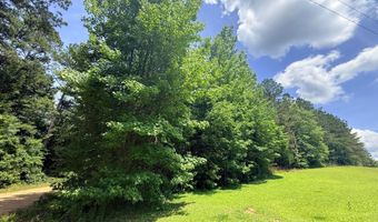 COUNTY ROAD 49, Beaverton, AL 35544