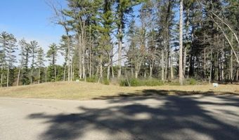 Lot 15 Fly Rod Trail, Wisconsin Rapids, WI 54494