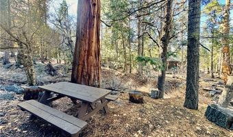 12 Barton Flats Rd, Angelus Oaks, CA 92305