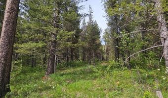 1537 Shadow Run, Ashton, ID 83420