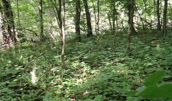 396 County Road 778, Athens, TN 37303