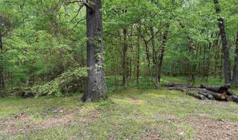 Tract 1 E Bay Road, Atkins, AR 72823