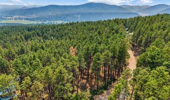 432 Blue Ridge Dr, Bayfield, CO 81122