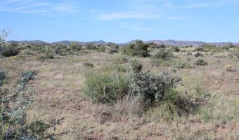 Tract 34 Sierra La Rana, Alpine, TX 79830