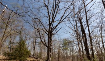 Soapstone Road, Baldwin, GA 30511