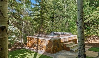 386 Pfister Dr, Aspen, CO 81611