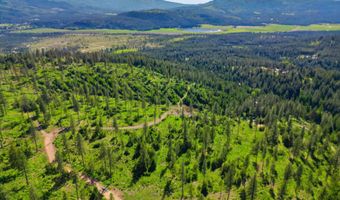 NNA Stone Rd Lot 5 20.0 Acres, Blanchard, ID 83804