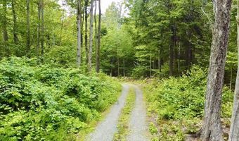 224 Arrau Rd, Andover, VT 05143