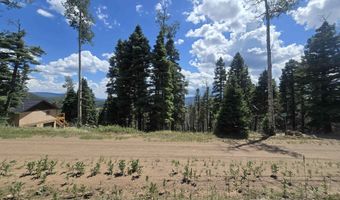 Plesant Valley lot 1302, Angel Fire, NM 87710