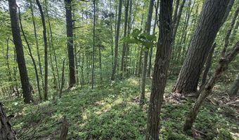 81 Happy Acres Rd, Beattyville, KY 41311