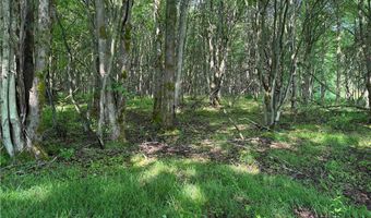 749 Green Rd, Alfred, NY 14803