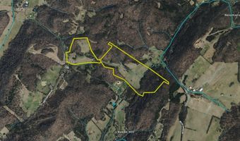 1520 Brittontown Rd, Afton, TN 37616