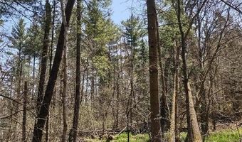 Xxx US Hwy 8, Almena, WI 54805