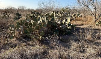 CR 119 lot 0, Alice, TX 78332