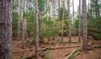 Lot 87 20th Avenue, Arkdale, WI 54613