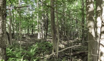 225 Waldo Ave, Belfast, ME 04915