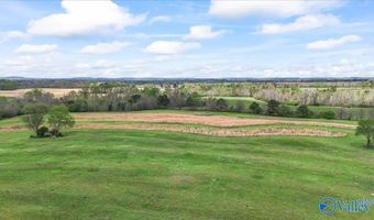 435 Sneadview Rd, Altoona, AL 35952