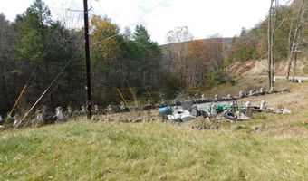 290 Angels Pass Dr Lot 1, Bastian, VA 24314