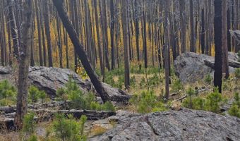 75 Sheep Horn Ct, Bellvue, CO 80512