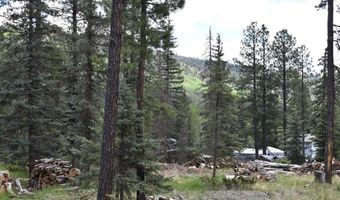 264 Ponderosa Homes Rd, Bayfield, CO 81137