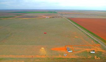 54 Farms, Abernathy, TX 79311