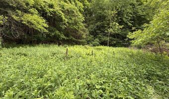 48 Lower River Rd, Cornwall, CT 06796