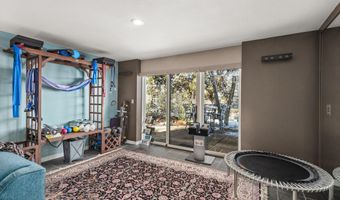 255 Little Pinon, Basalt, CO 81621