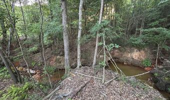 9751 Ocelot, Gilmer, TX 75644