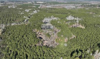 00 Hadwin Rd, Bamberg, SC 29003