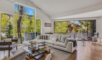 100 Park Ave, Aspen, CO 81611
