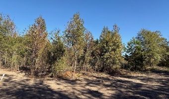 9 76 Acs Rabon Rd, Aynor, SC 29511