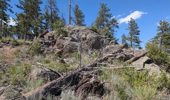 Old Camp Rd, Bellvue, CO 80512