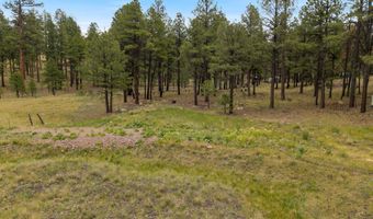 County Rd 2121, Alpine, AZ 85920