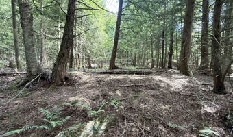3919 E Bakersfield Rd, Bakersfield, VT 05450