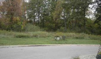 1005 SAW Ml, Adrian, MI 49221