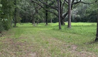 10901 Hall Dr, Axis, AL 36505