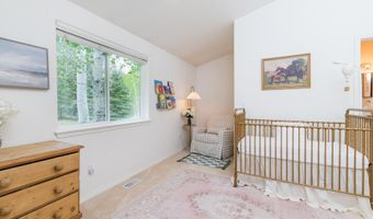 100 200 Trout Ln, Bellevue, ID 83313