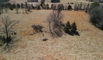 000 County Road 413, Alton, MO 65606