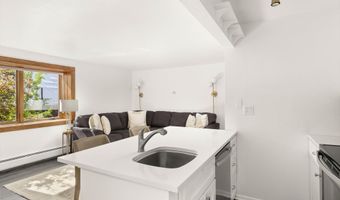 119 E Cooper Ave 25, Aspen, CO 81611