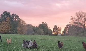 1439 Twp Rd 593, Ashland, OH 44805