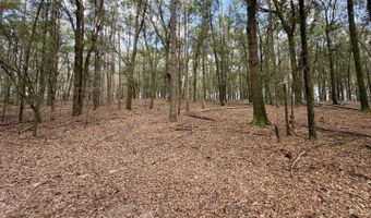 County Road 72, Ariton, AL 36311