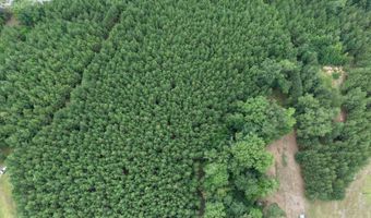 Hwy 3, Barnwell, SC 29812