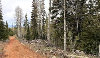 646 W Ski View Dr, Brian Head, UT 84719