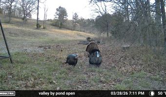 Co Rd 321 Route 5, Ava, MO 65608