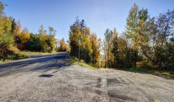 L9 & L10 Feodosia Drive, Anchorage, AK 99516